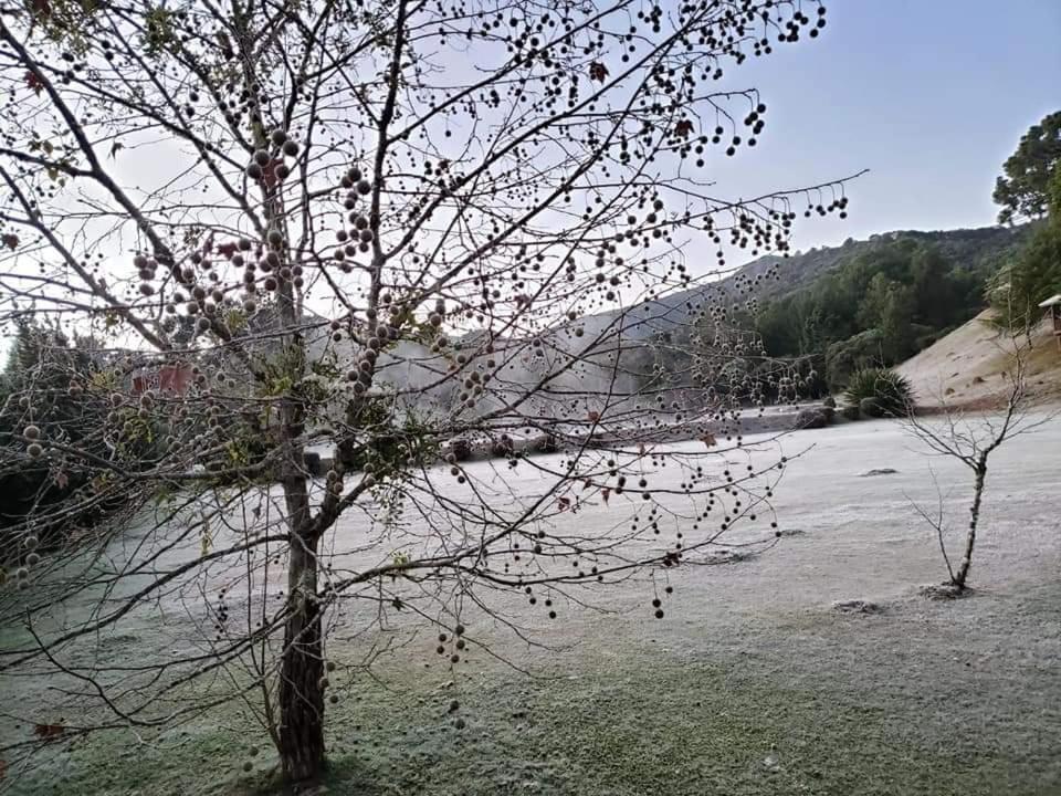 Hospedagem Vo Rosa Monte Verde  Zewnętrze zdjęcie