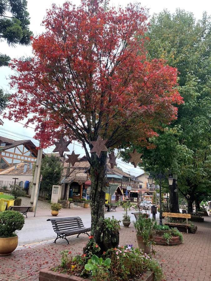 Hospedagem Vo Rosa Monte Verde  Zewnętrze zdjęcie